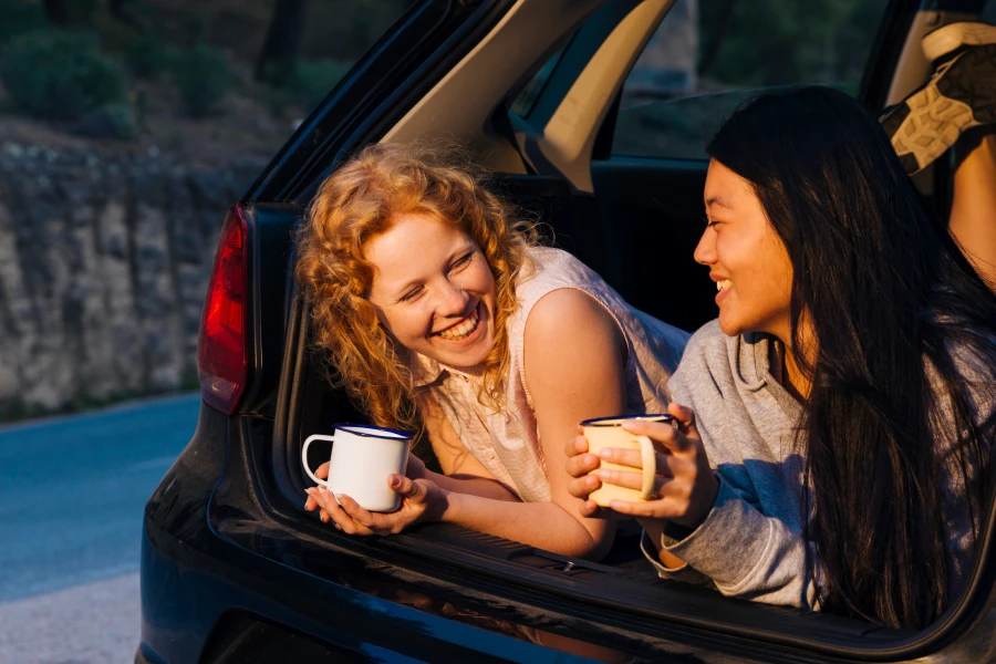 Car Trash Can - A Cleaner Ride: The Secret To An Organized Car