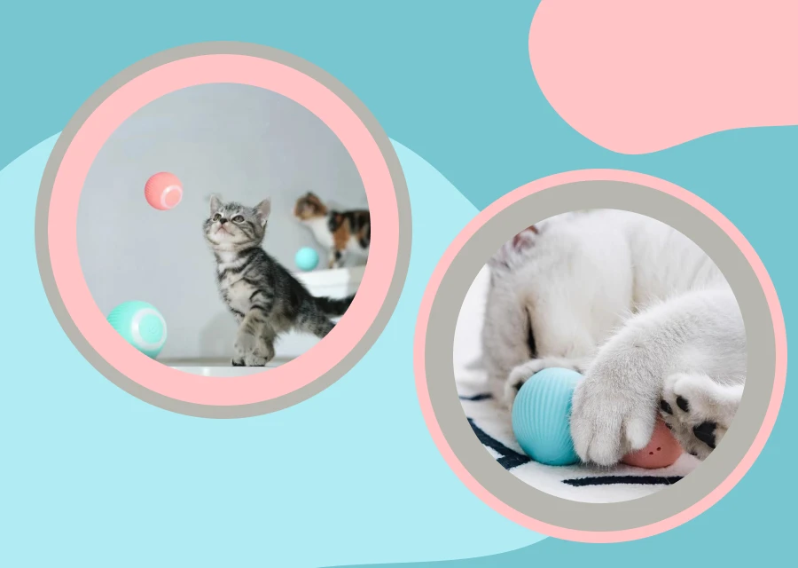 interactive cat toy - Is Your Feline Friend Bored? Discover The Perfect Play Partner!