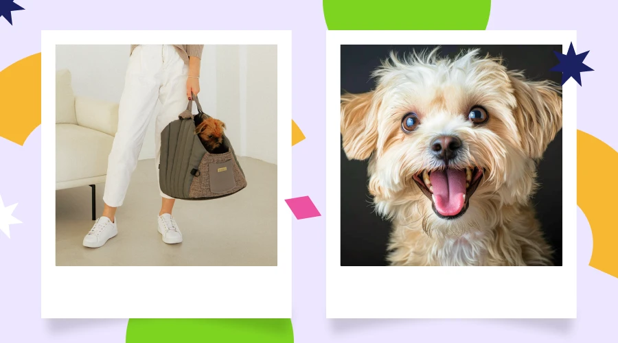 Ready For A Paw-some Adventure With Your Furry Friend?