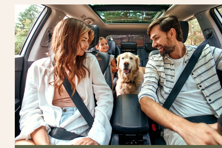 car organizer for back seat - The Secret To A Clutter-Free Ride: A Must-Have For Every Car Owner