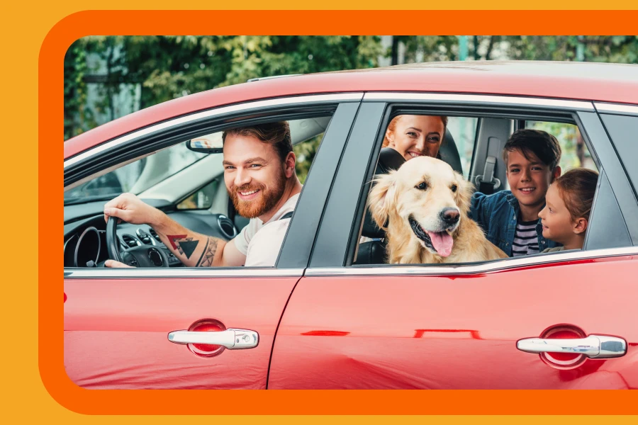 car seat back protector - Keep Your Car Spotless: Discover The Perfect Protector!