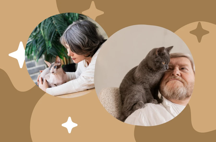 electronic cat toy - Find Out Why Every Cat Owner Is Buzzing About This New Gadget!