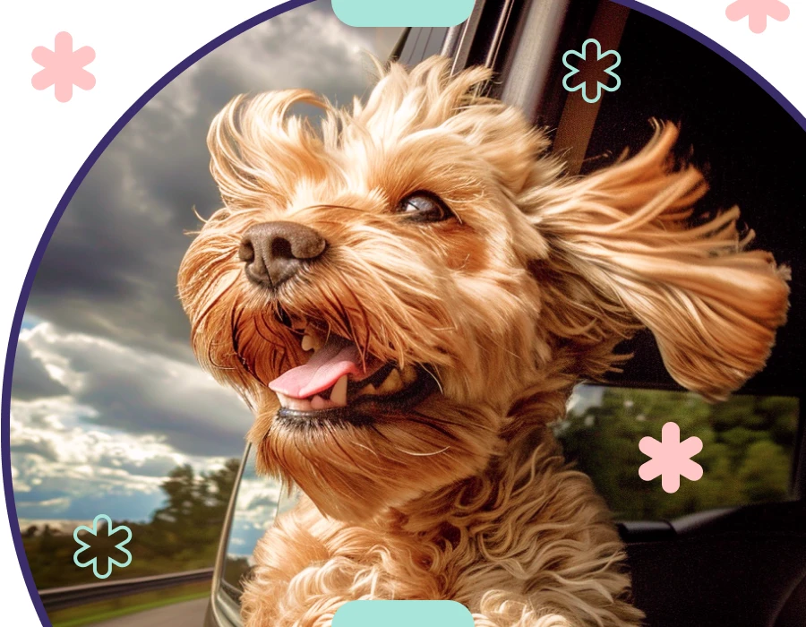 The Perfect Companion For Stylish Pet Parents: Why You Need The Best Dog Carrier Purse