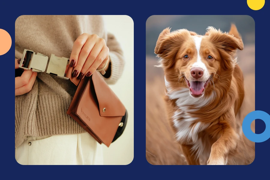 Dog Treat Bag For Walks - Perfect Companion For Your Strolls: Enhance Your Dog Walks With The Essential Treat Bag!